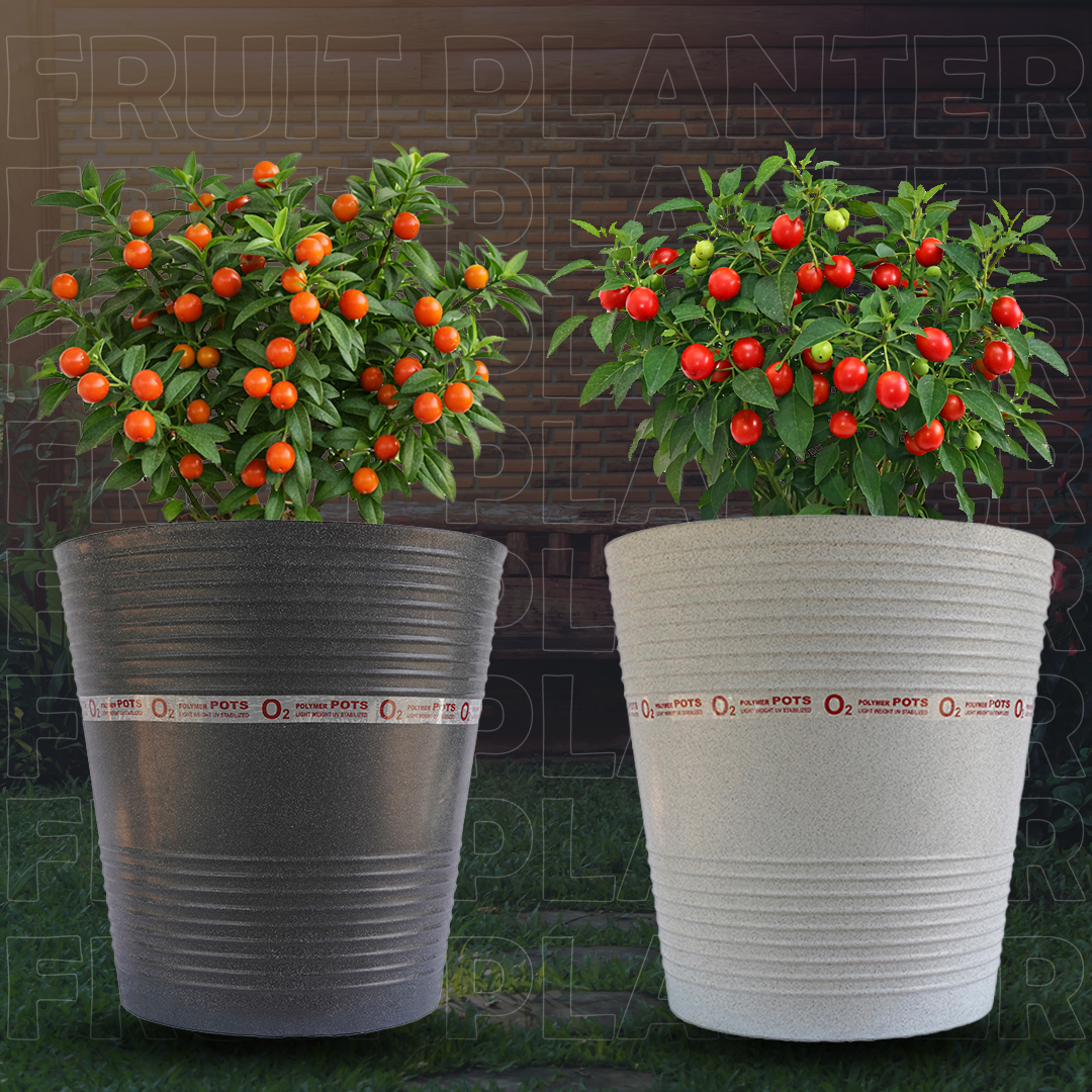 FRUIT PLANTER 3636