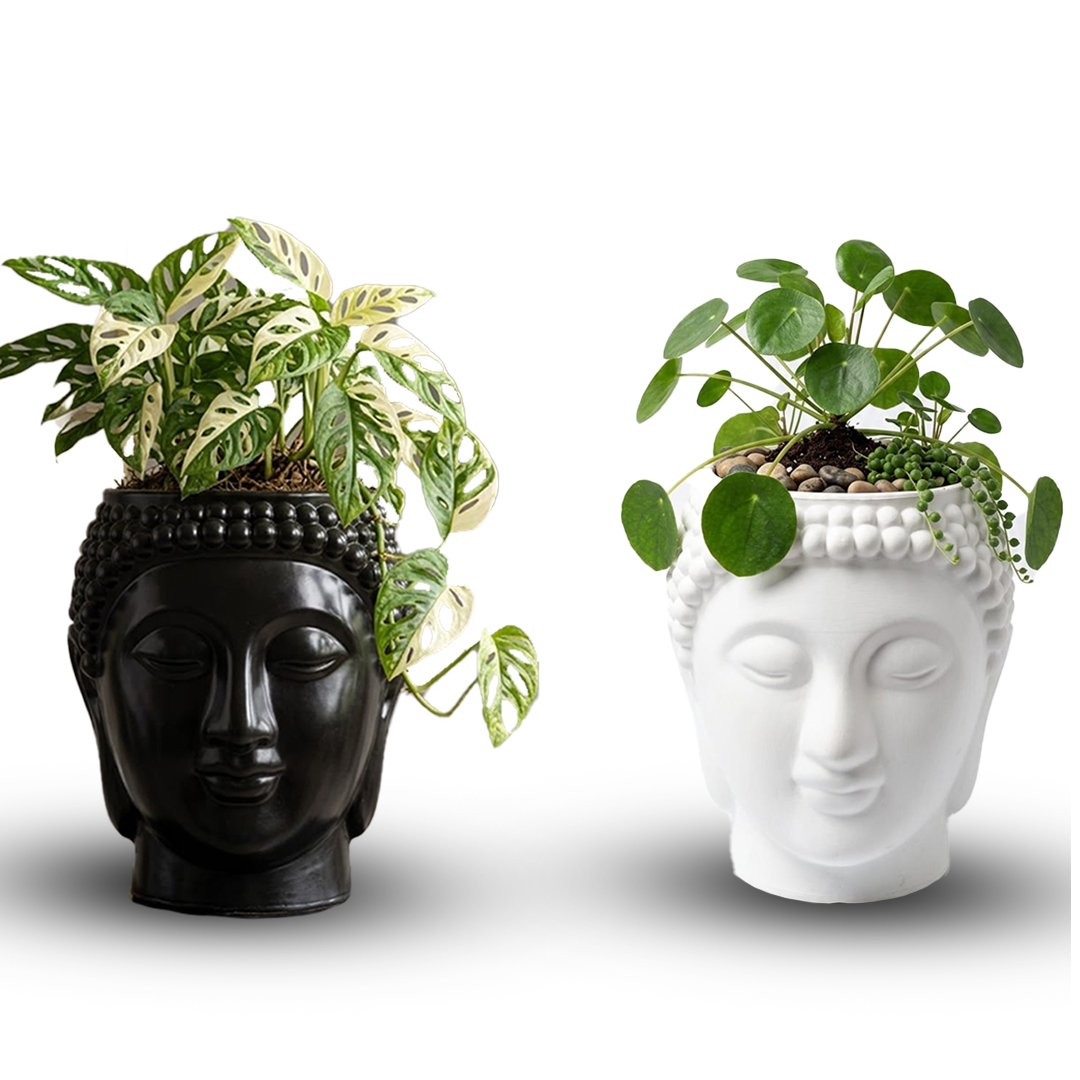 BUDHA