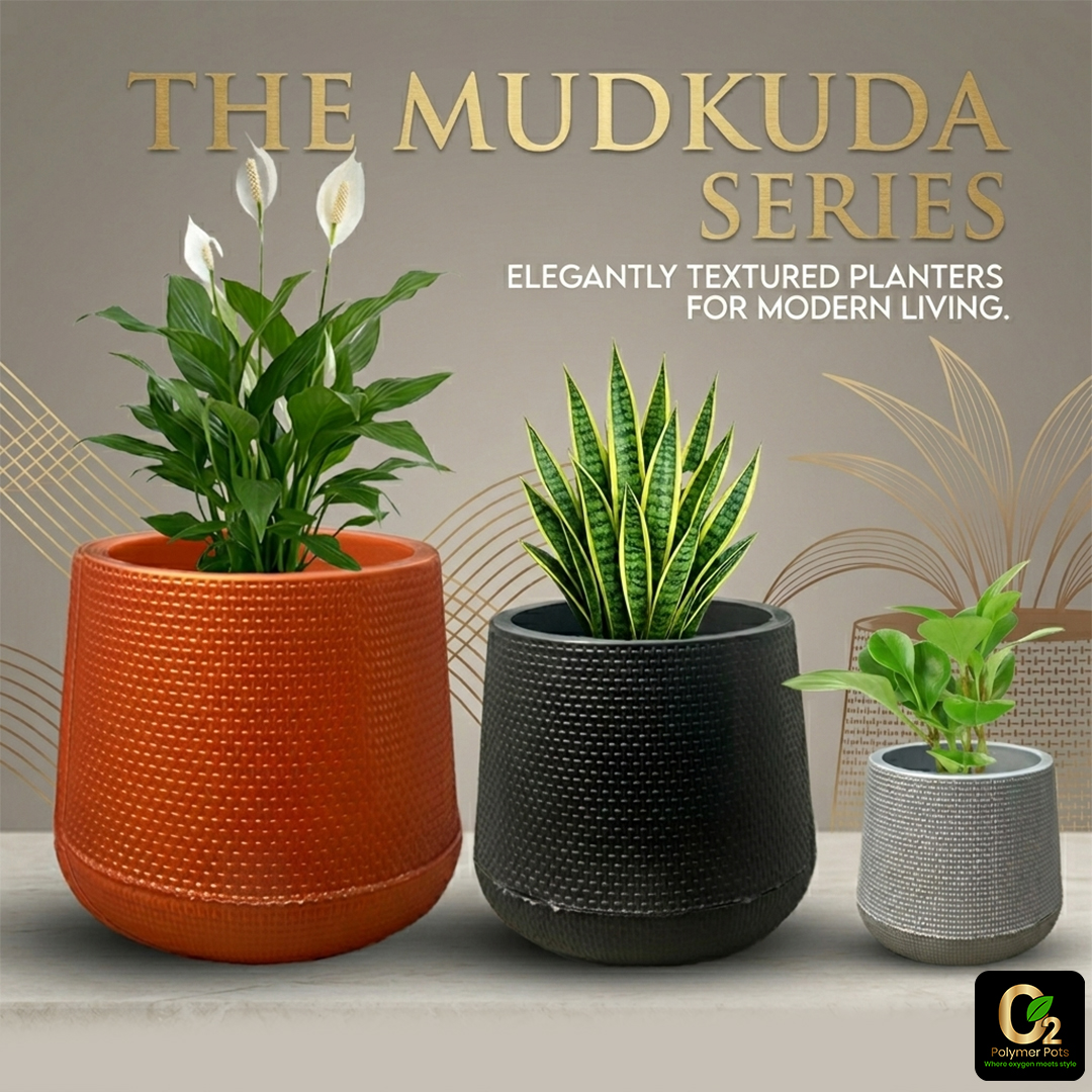 MUDKUDA