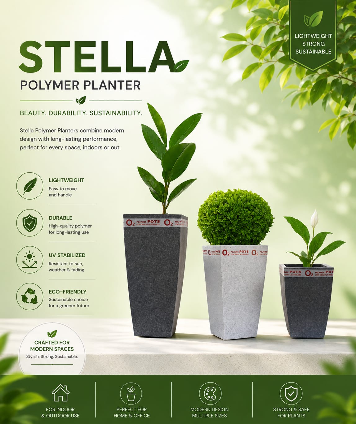 STELLA