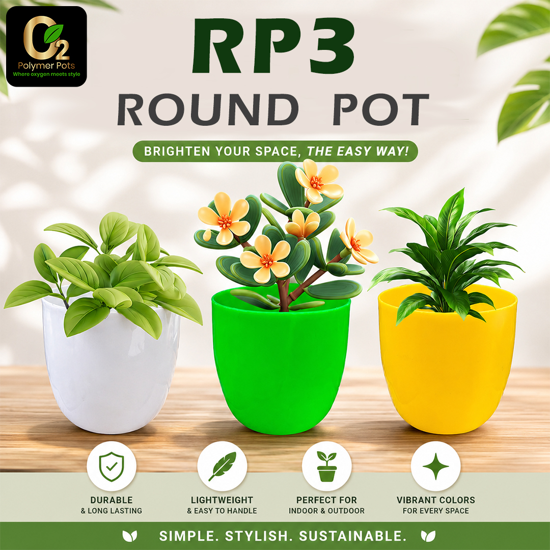 RP3