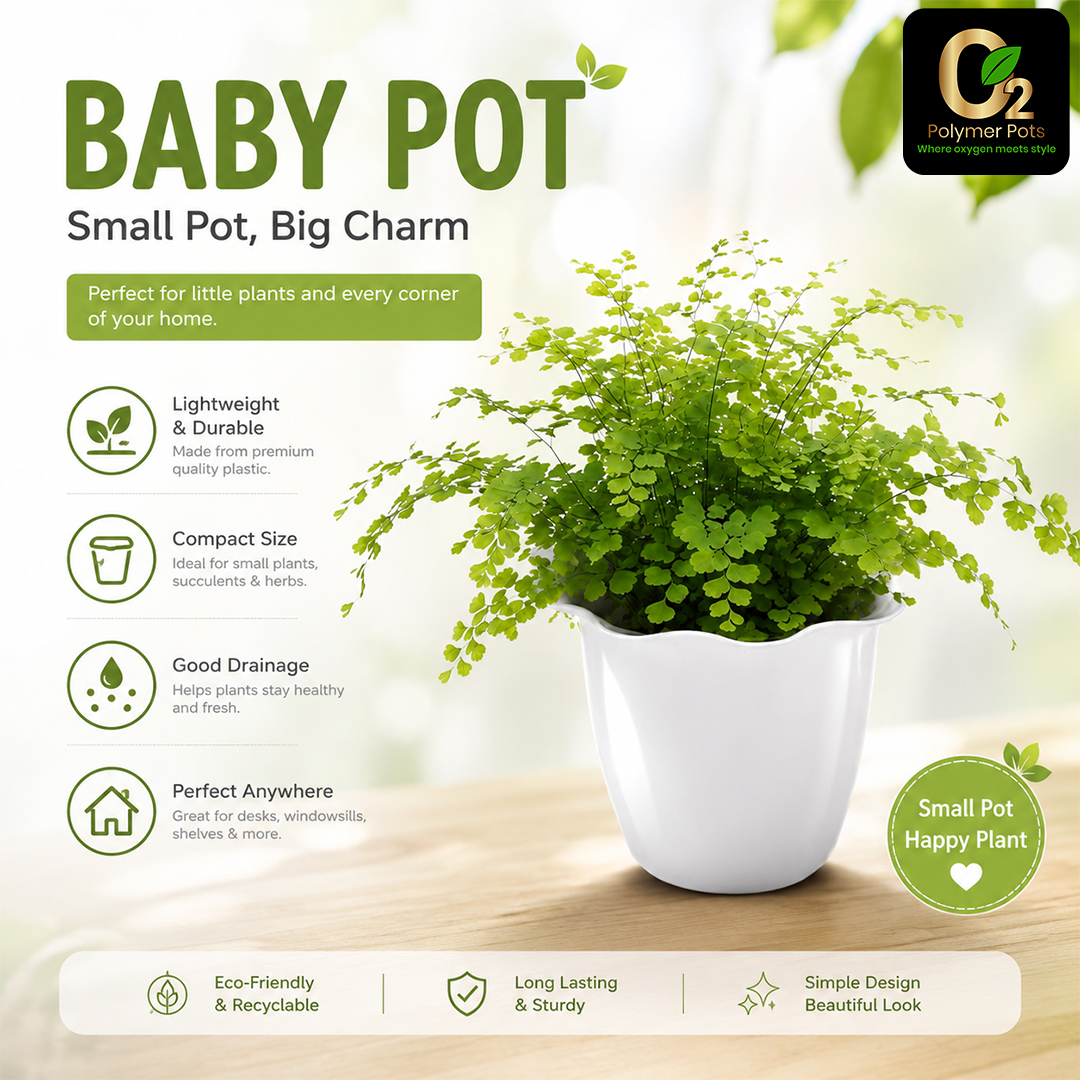 BABY POT