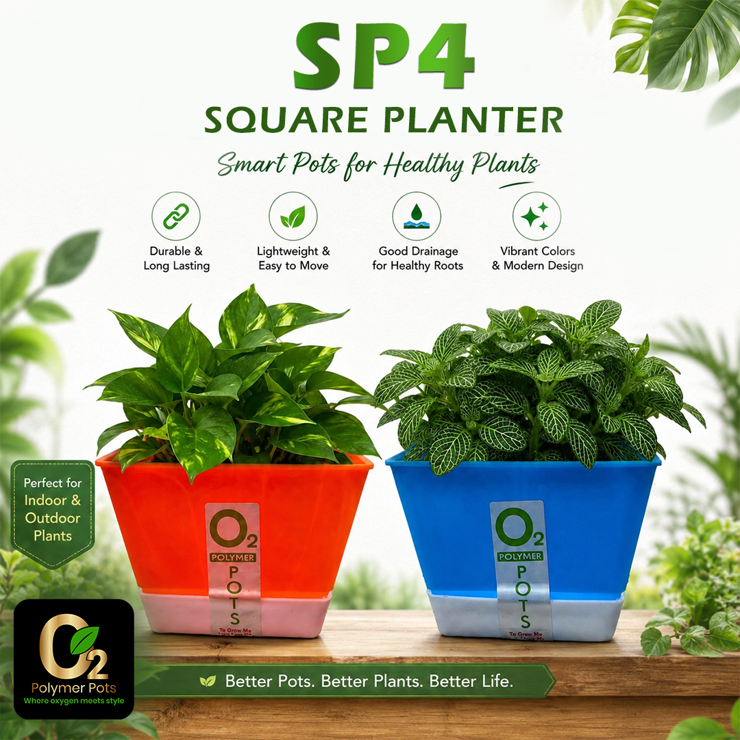 SP4 SQUARE