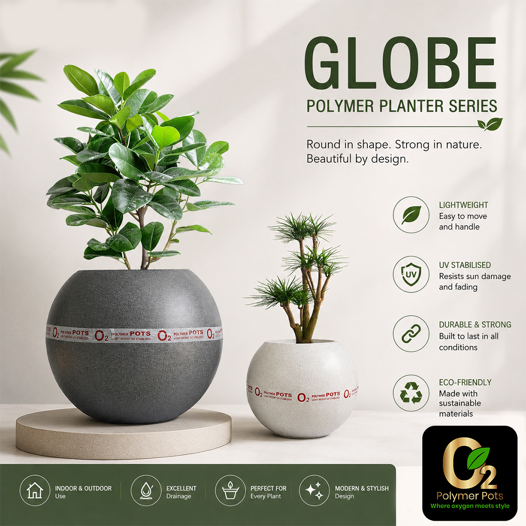 GLOBE