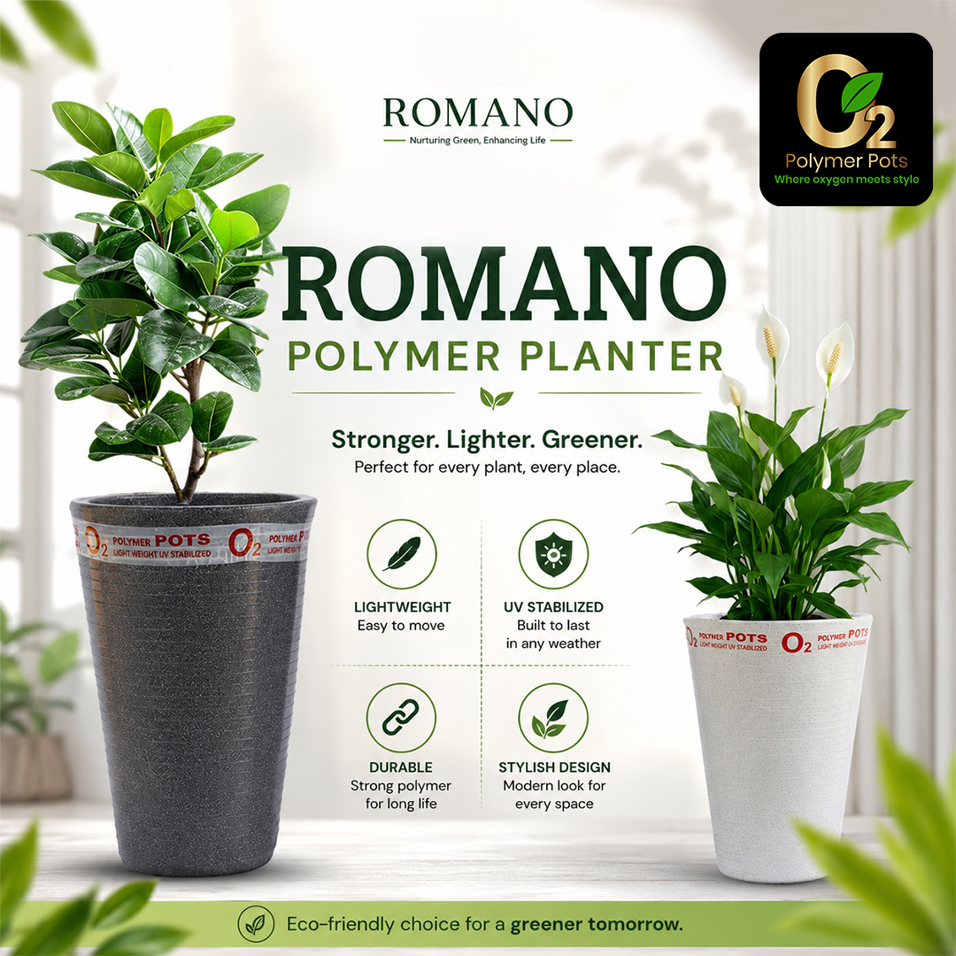ROMANO