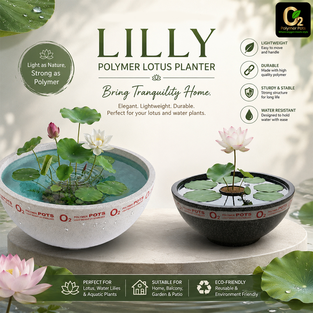LILLY
