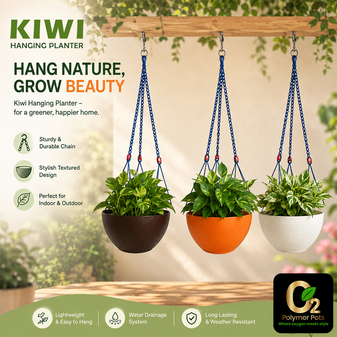 KIWI HANGING