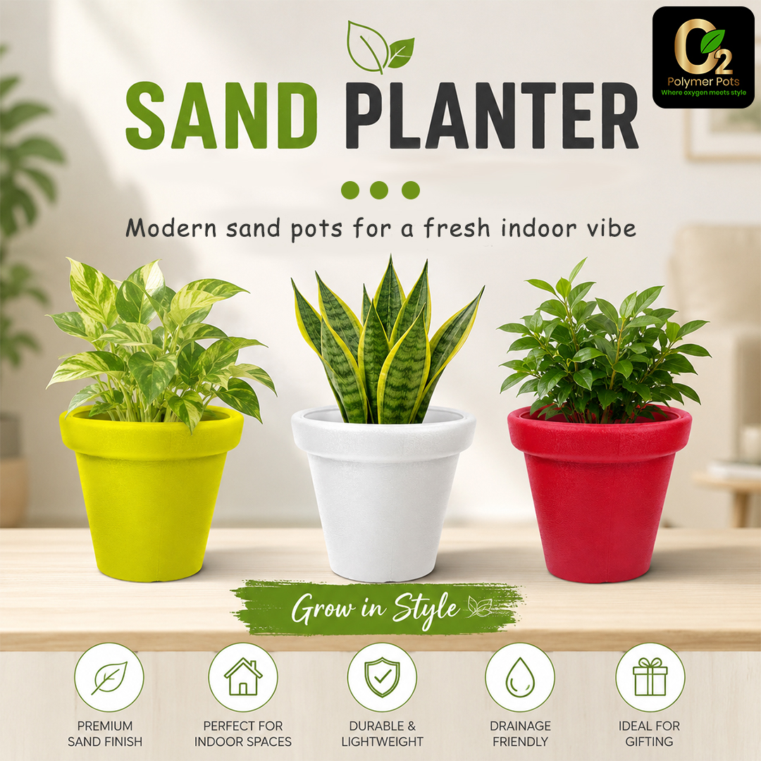 SAND PLANTER