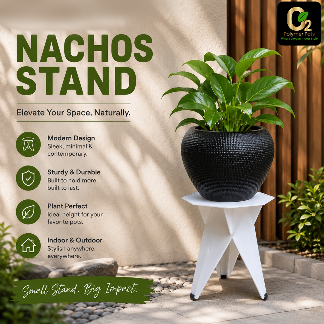 NACHOS STAND