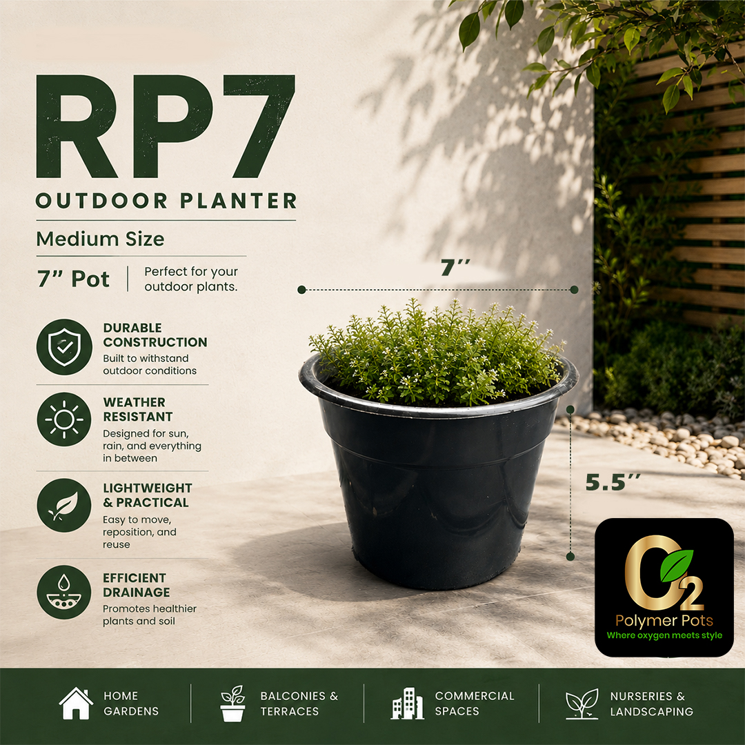 rp7 outdoor