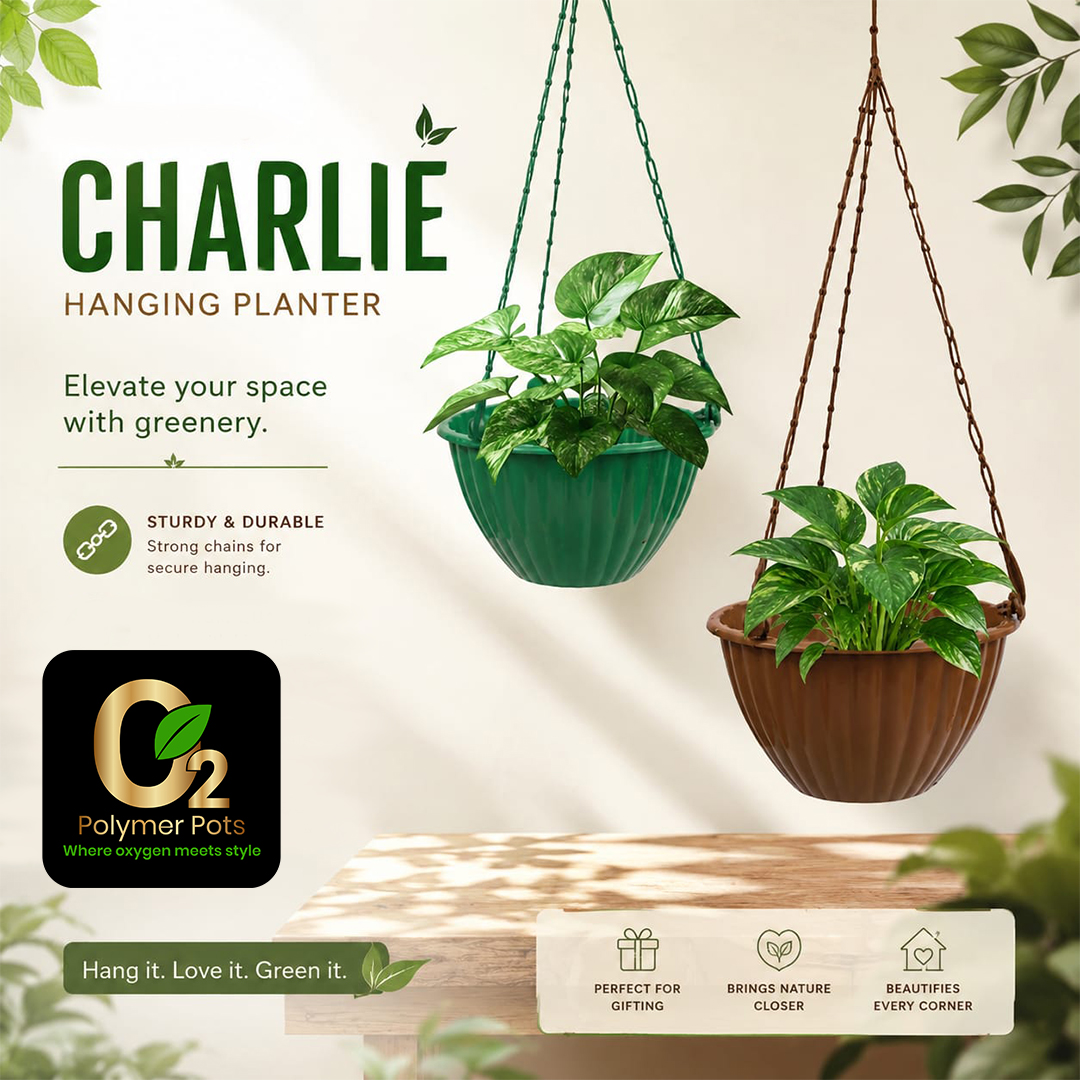 CHARLIE HANGING PLANTER