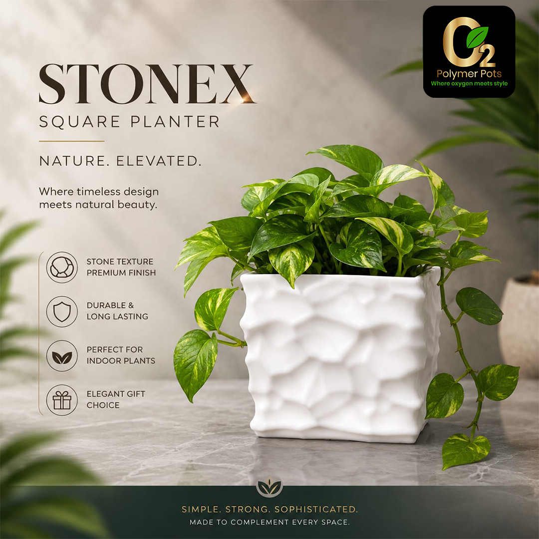 STONEX