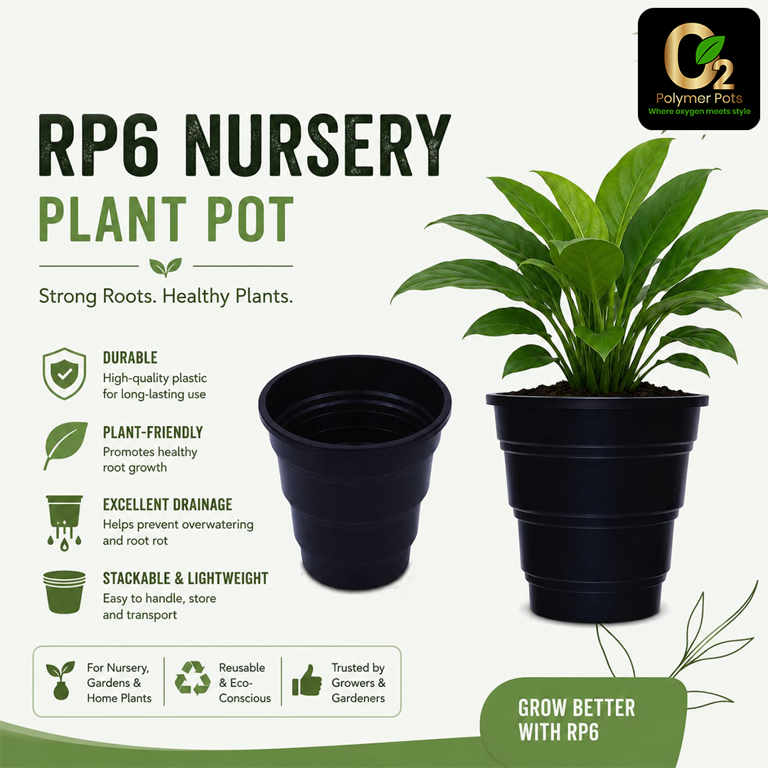 RP6 NURSERY