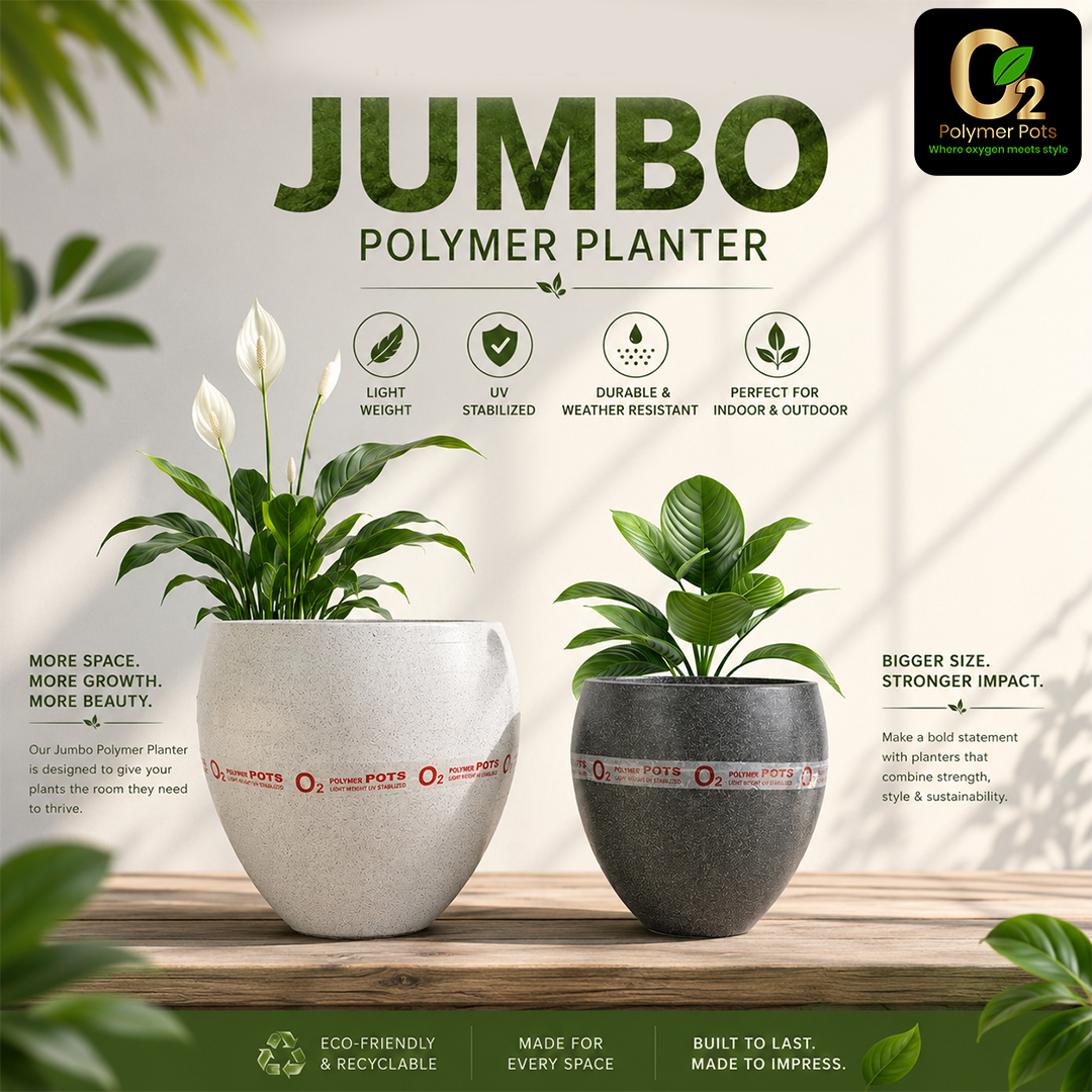 JUMBO PLANTER