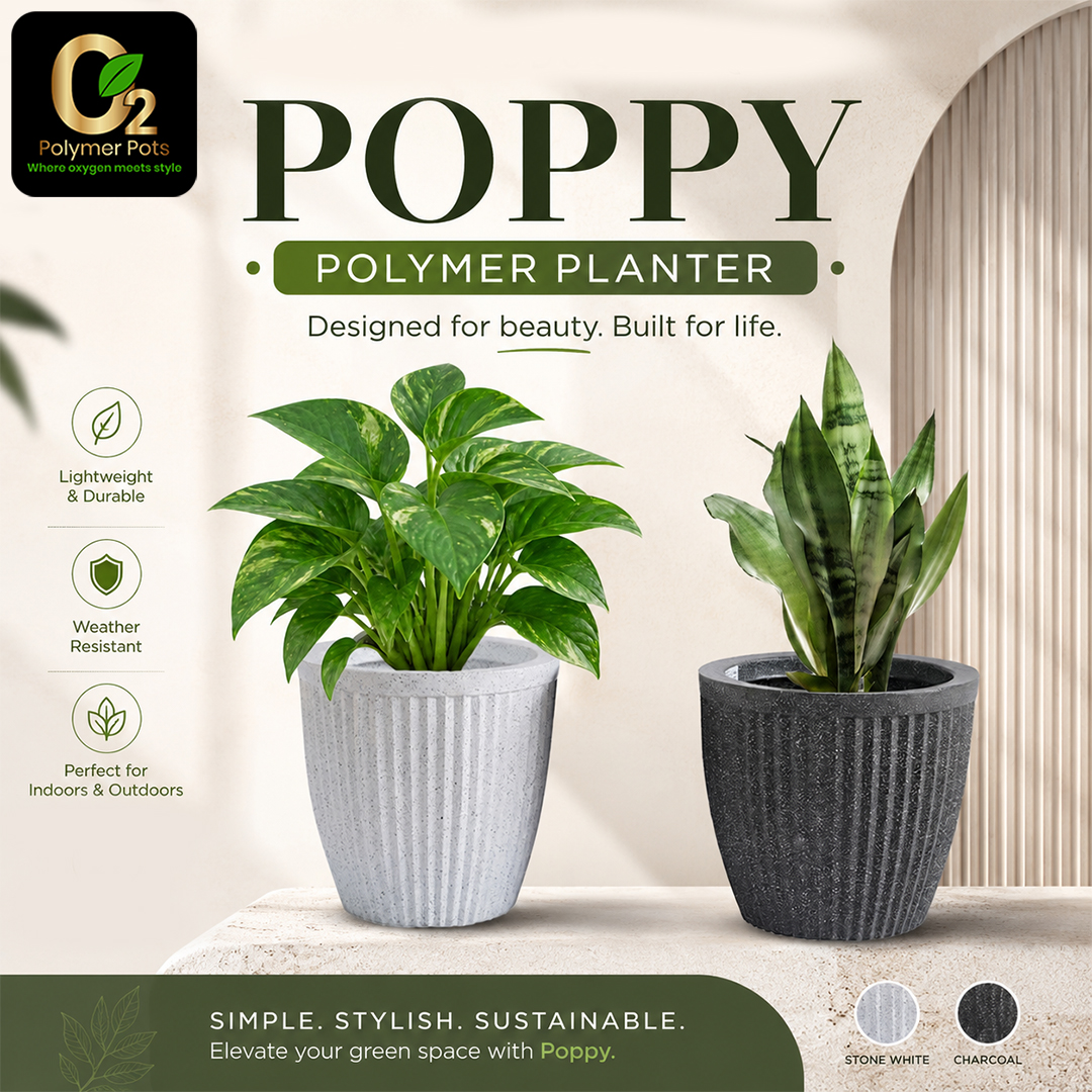 POPPY PLANTER