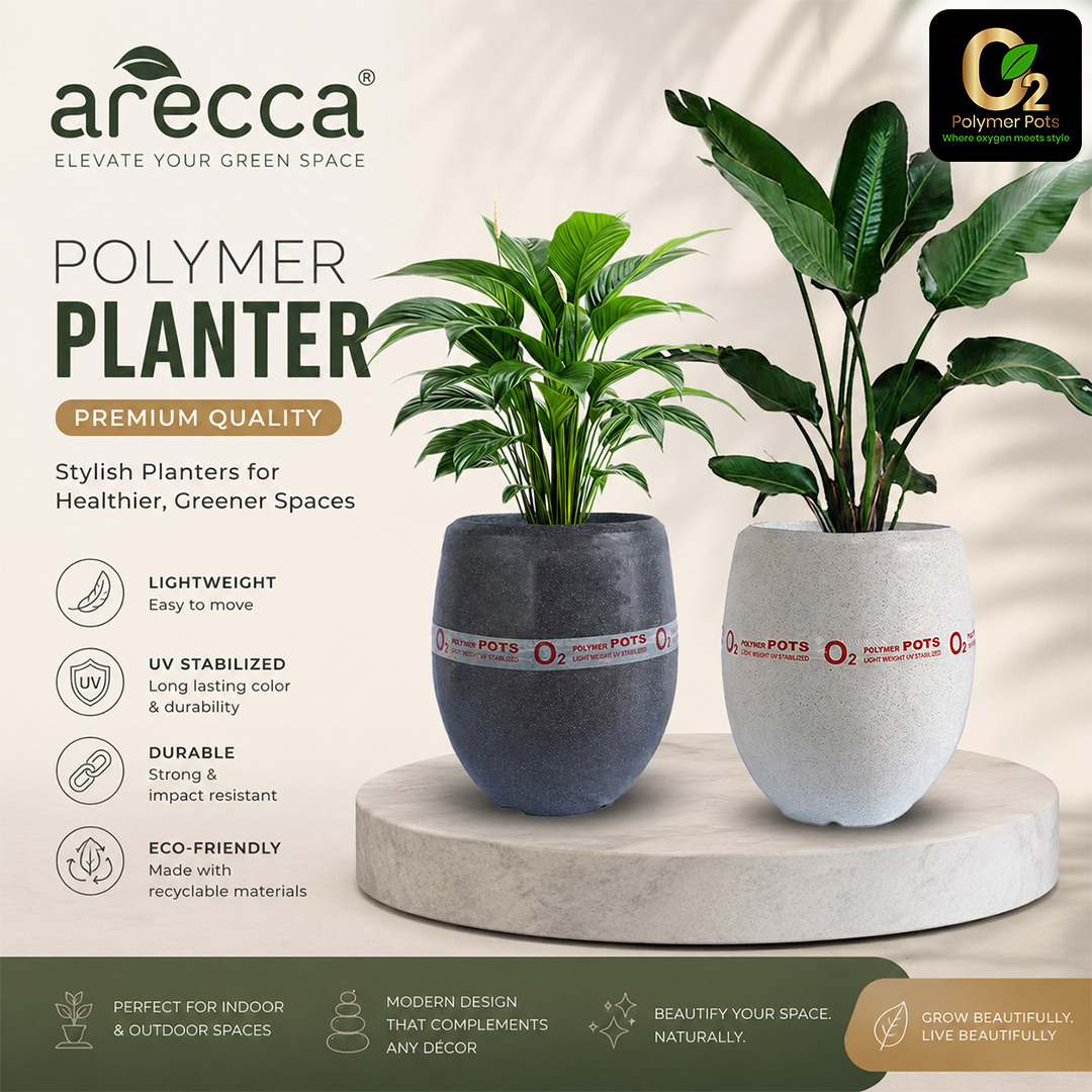 ARECCA PLANTER