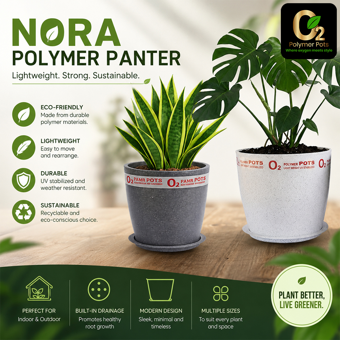 NORA PLANTER