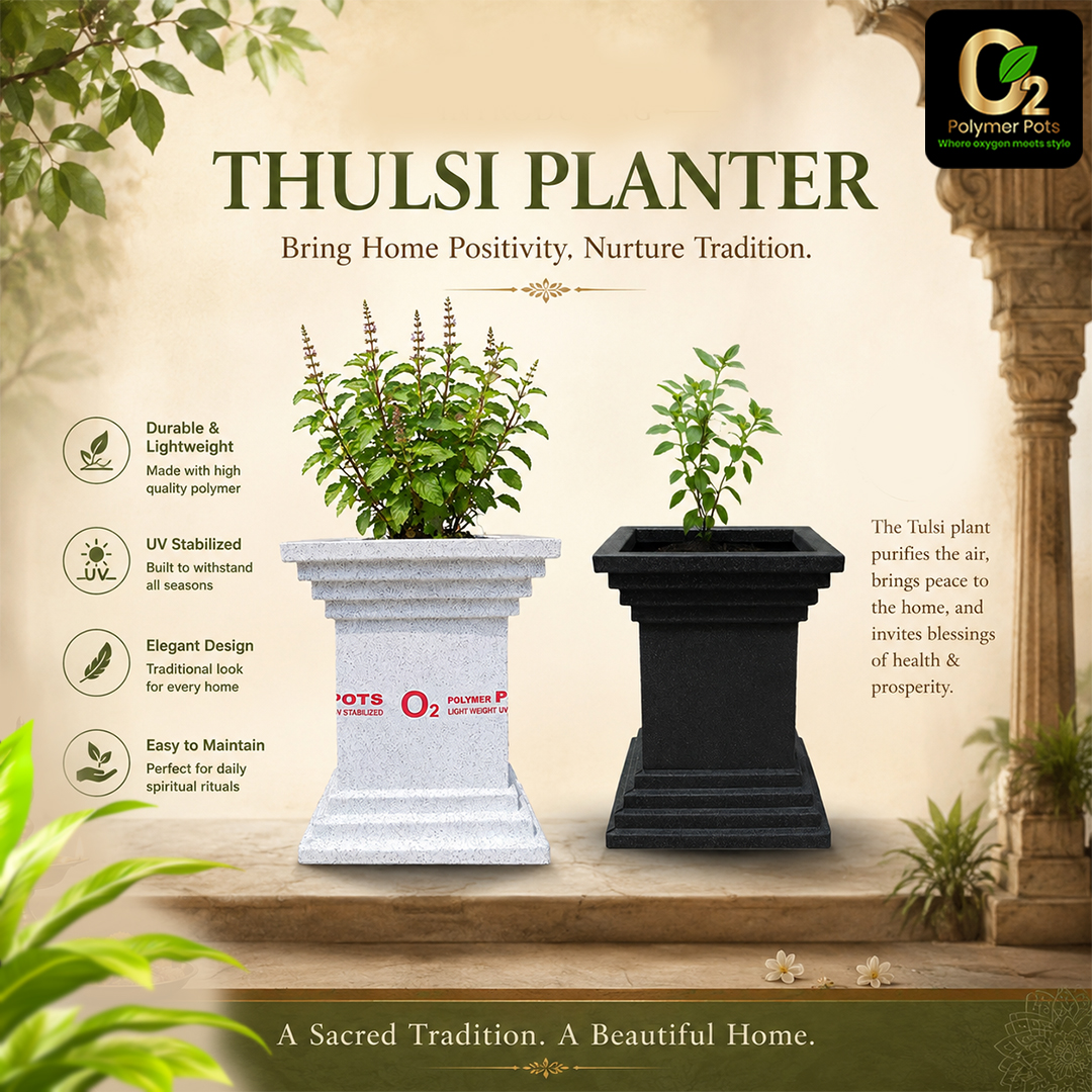 THULSI PLANTER