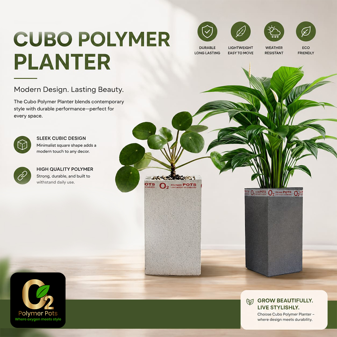 CUBO PLANTER