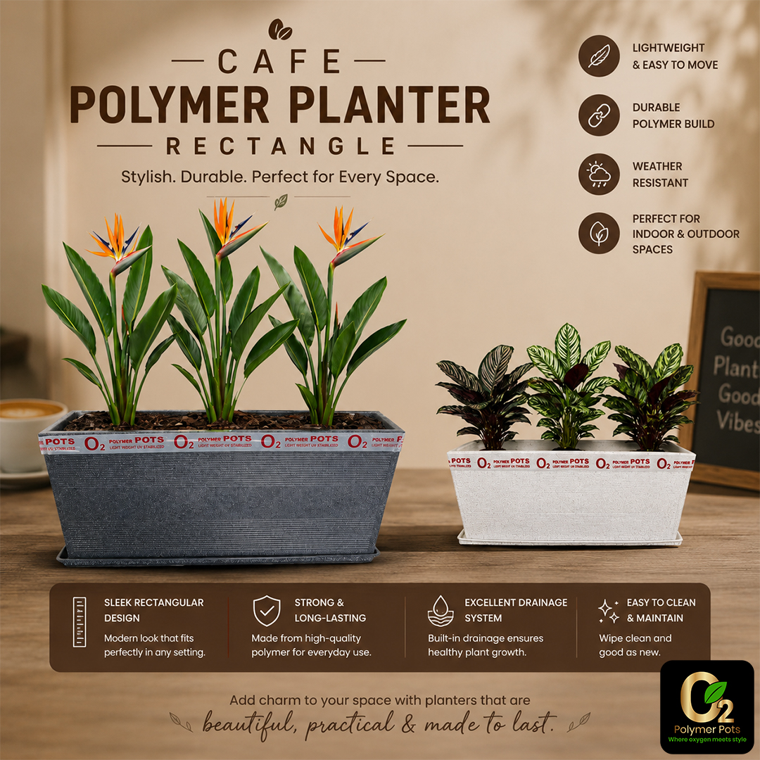 CAFE PLANTER