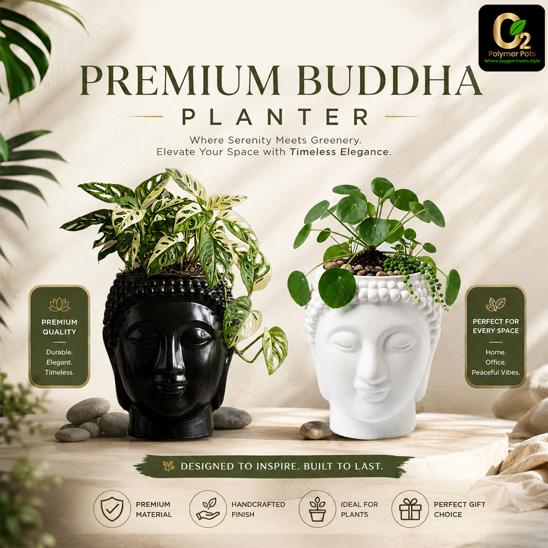 BUDDHA PLANTER