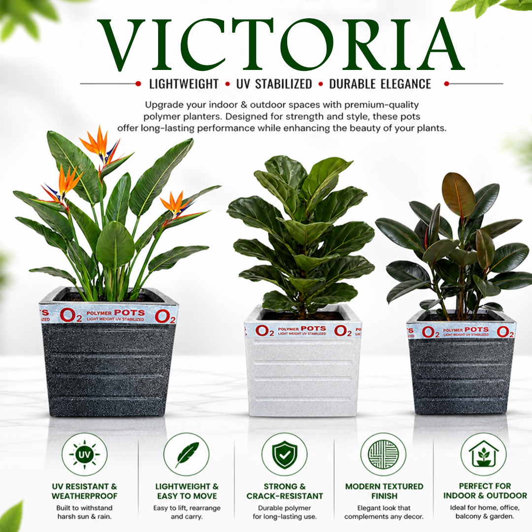VICTORIA